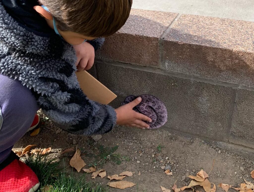 Child doing a camouflage activity